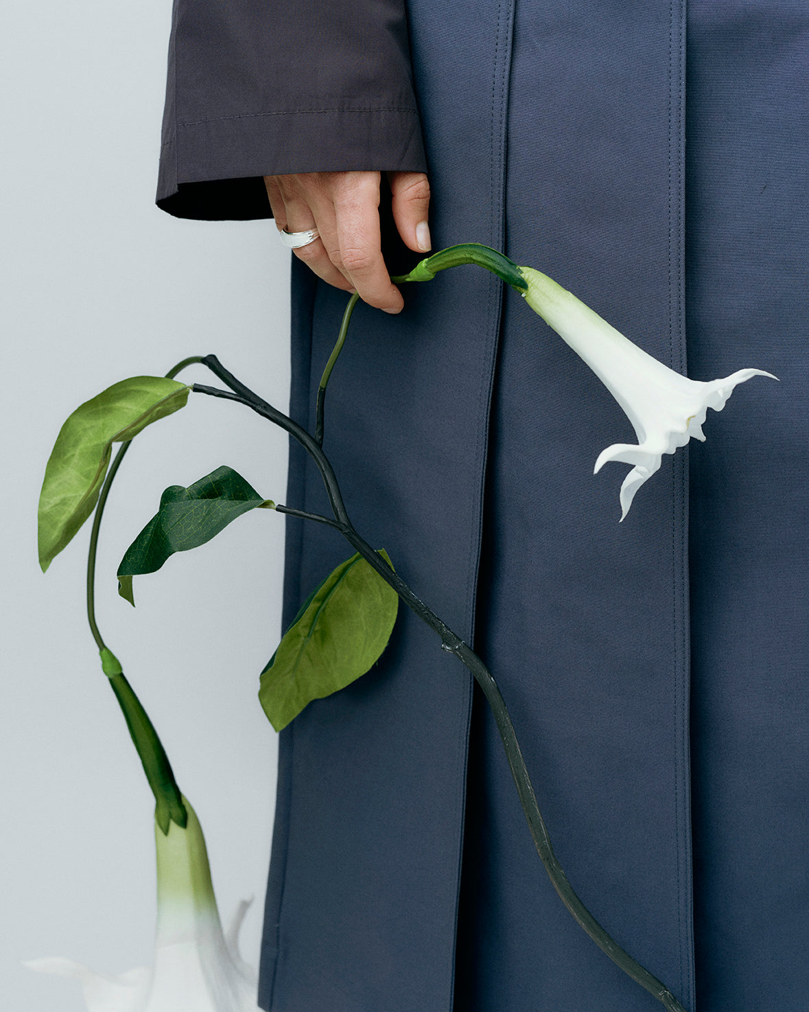 Datura Ring