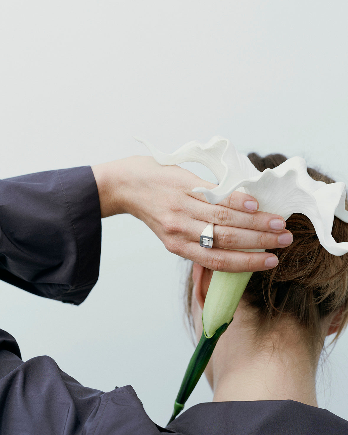 Datura Signet Ring
